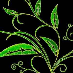 Meet your Posher, Estrella